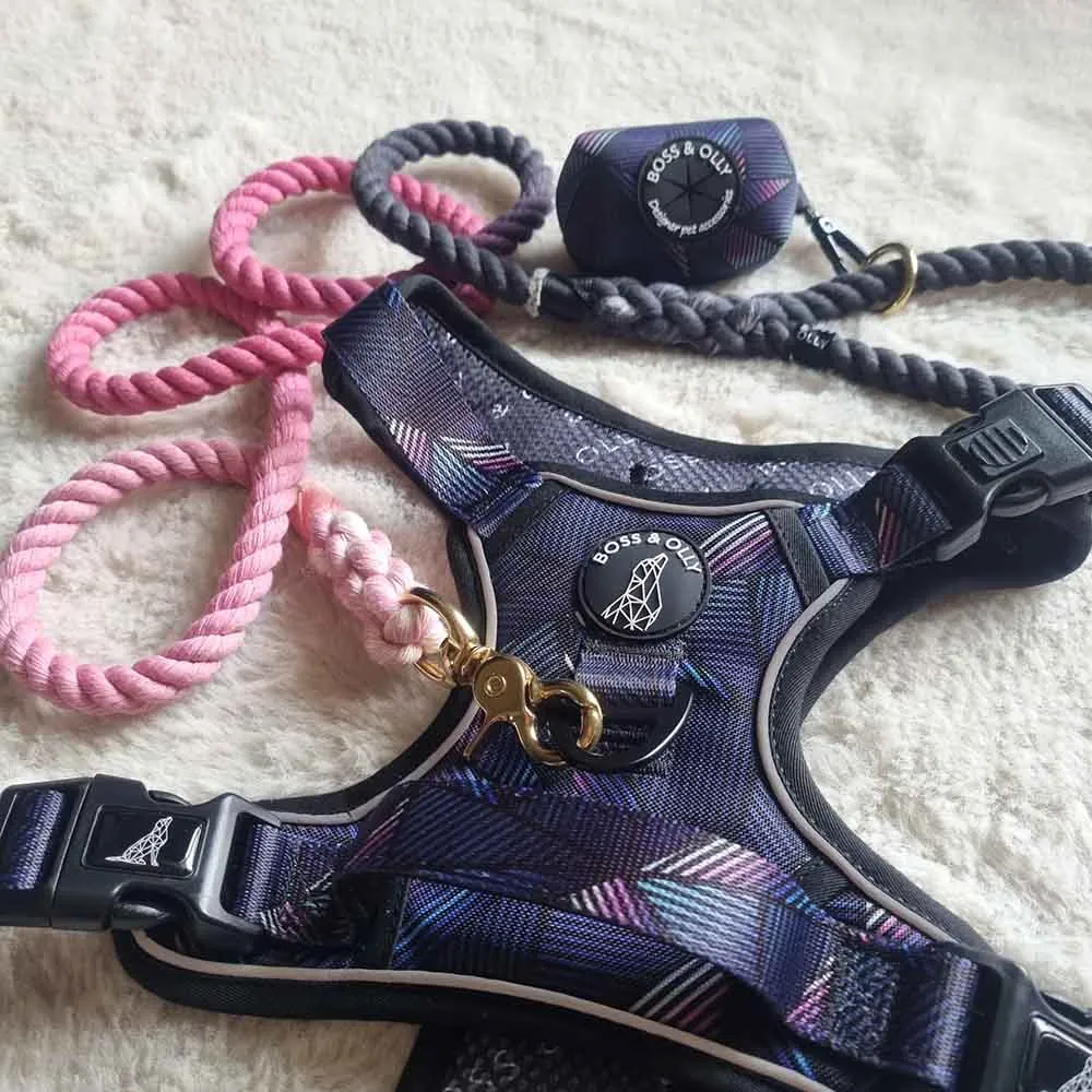 Boss & Olly Hand-Dyed Cotton Rope Dog Leash (Pink) (Made To Order)
