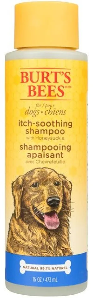 Burt's Bees Itch-Soothing Shampoo Honeysuckle 16oz