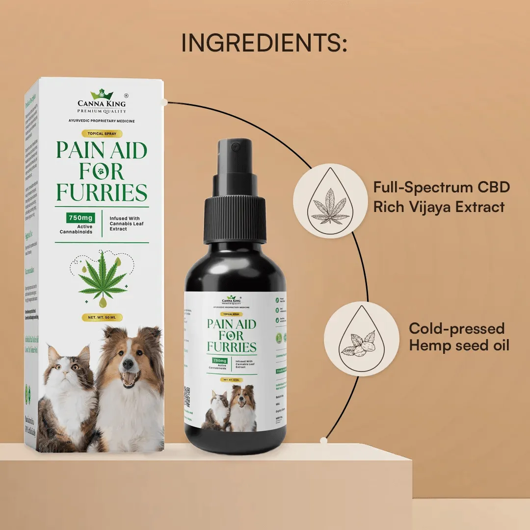 Cannaking Pain Aid for Furries - 50ml