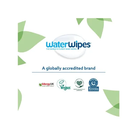 WaterWipes Biodegradable Baby Wipes (60 Wipes x 4 Pack)